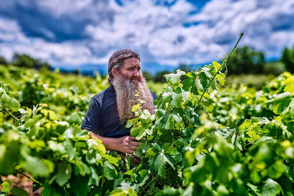 el mago del vino que convirtió las uvas en oro. Descubre cómo su pasión inspira a proteger lo que hace único tu mundo.