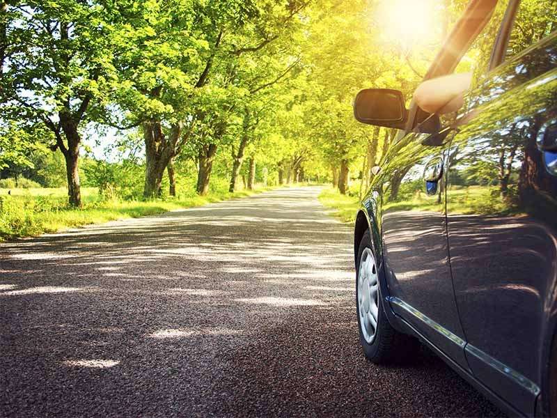 LLEGADA DE LA PRIMAVERA