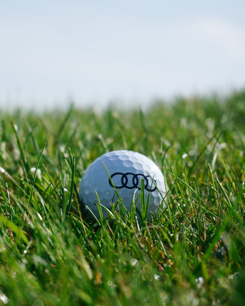 pelota golf